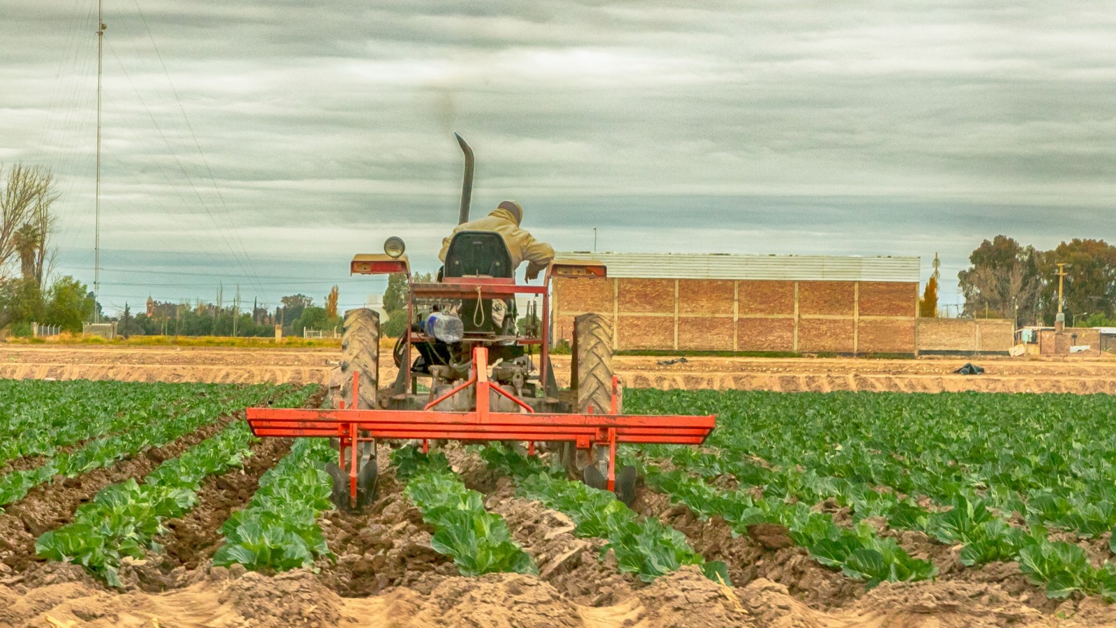 Maipú Agrolimpio: menos residuos, más compromiso ambiental